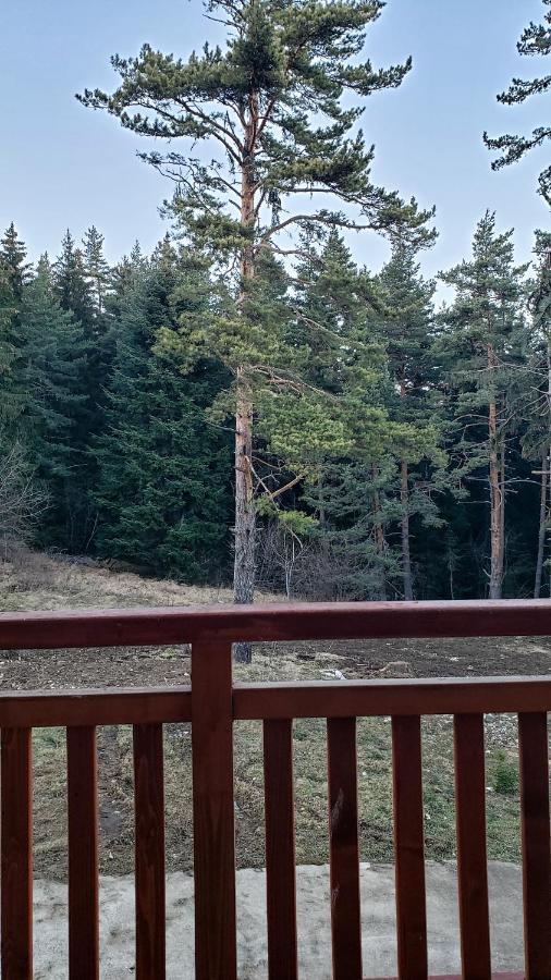 Semiramida Gardens Apartments Borovec Kültér fotó